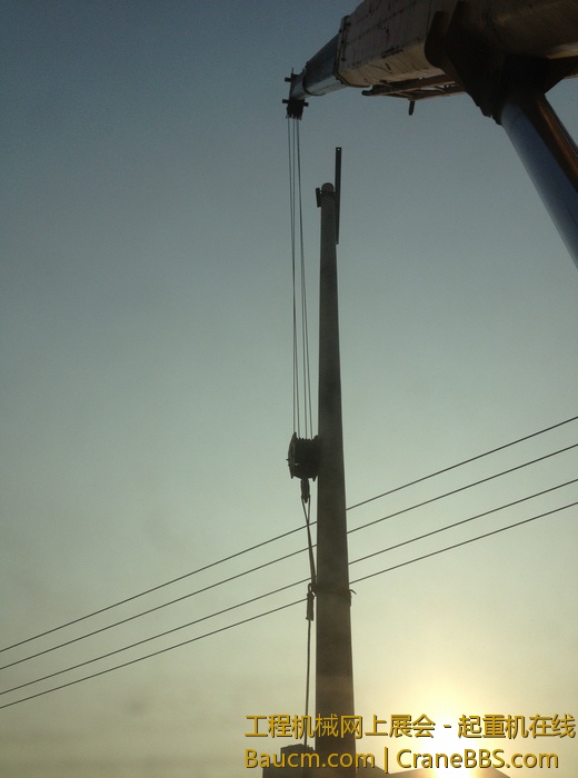 nEO_IMG_毛毛 455.jpg