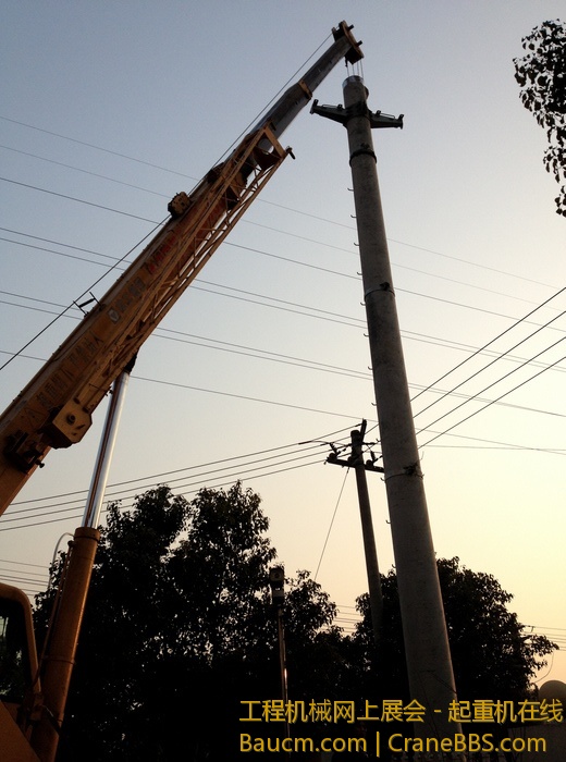 nEO_IMG_毛毛 458.jpg