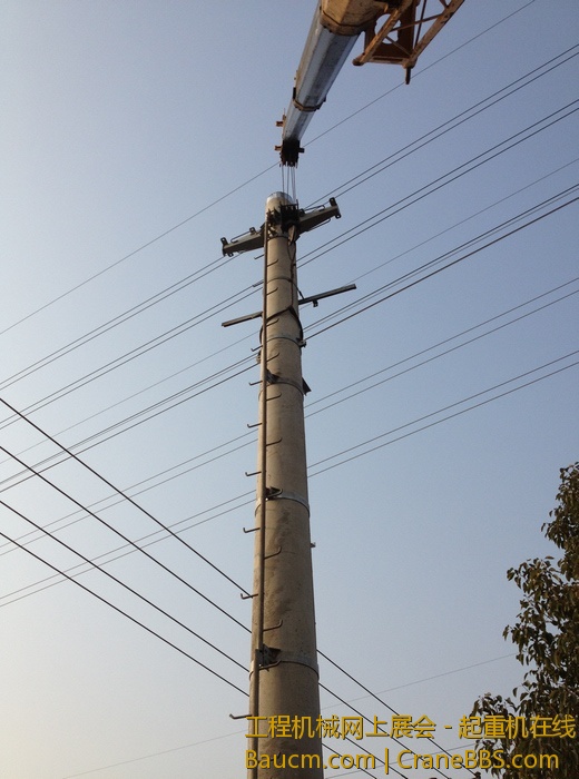 nEO_IMG_毛毛 450.jpg