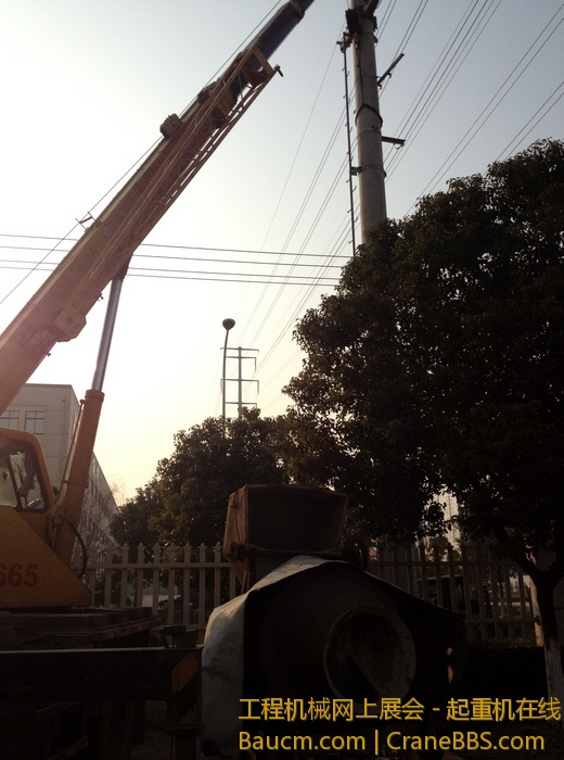 nEO_IMG_毛毛 453.jpg