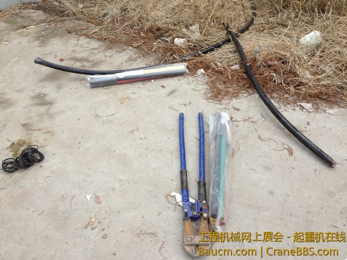 nEO_IMG_毛毛 260.jpg