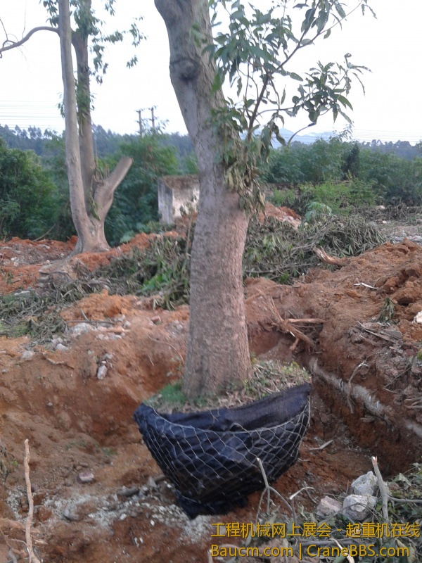 20121214_172930.jpg