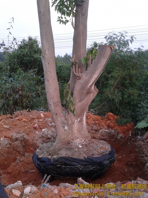 20121214_172835.jpg