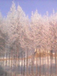 IMG0561A.jpg