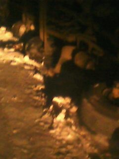 IMG0564A.jpg