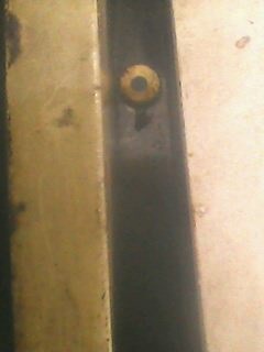 IMG0538A.jpg