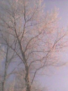 IMG0556A.jpg