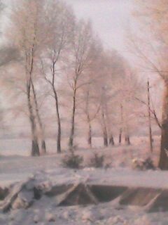 IMG0555A.jpg