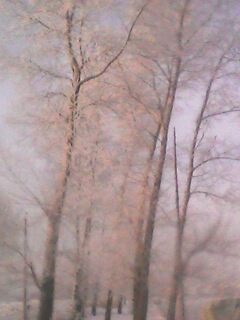 IMG0554A.jpg