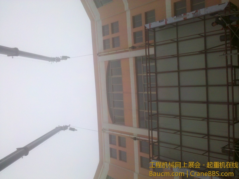 IMG_20130114_094321.jpg
