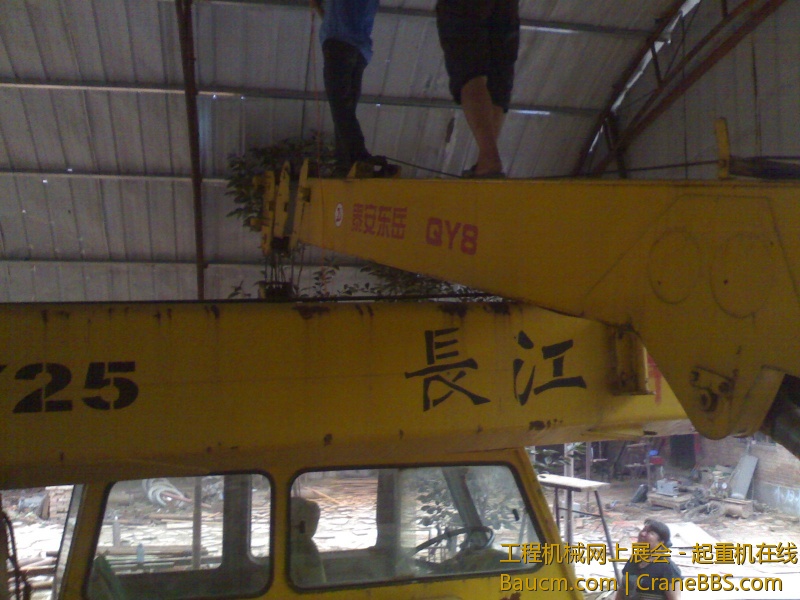 小八欺负大车.jpg