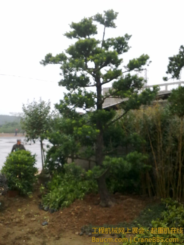 20130109983.jpg