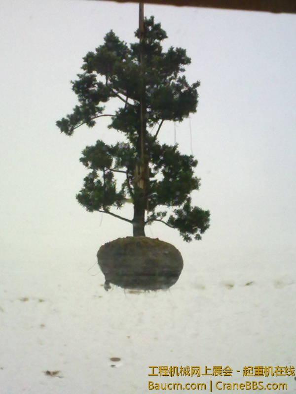 20130109991.jpg