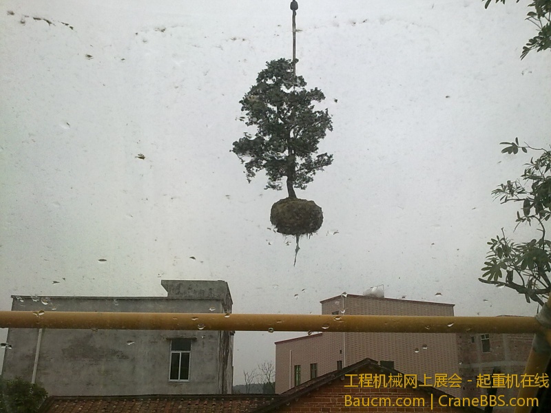 20130109986.jpg