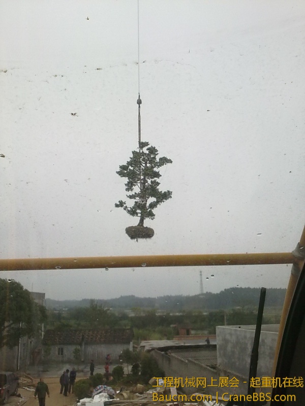 20130109989.jpg