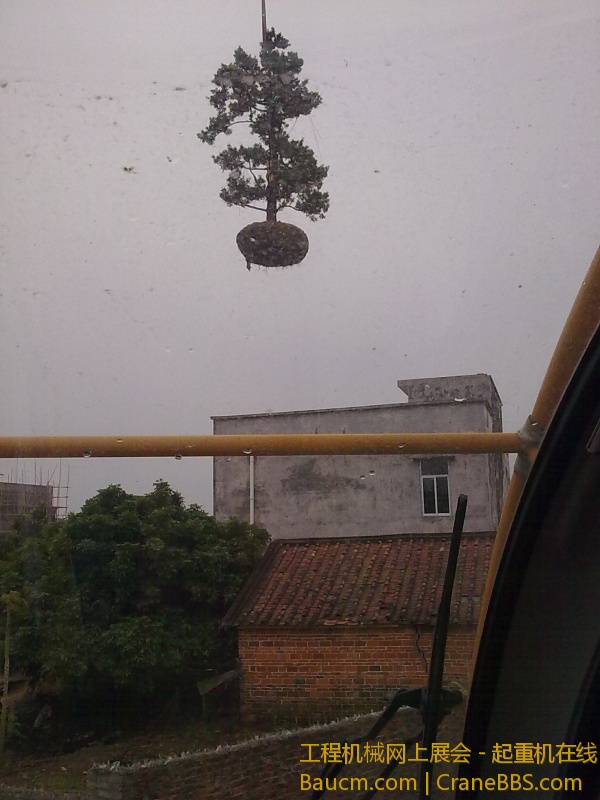 20130109990.jpg
