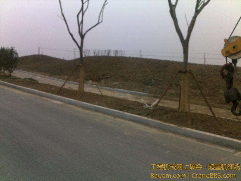 图像549.jpg