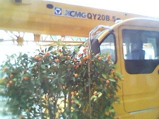 IMG_20130116_072604_0.jpg