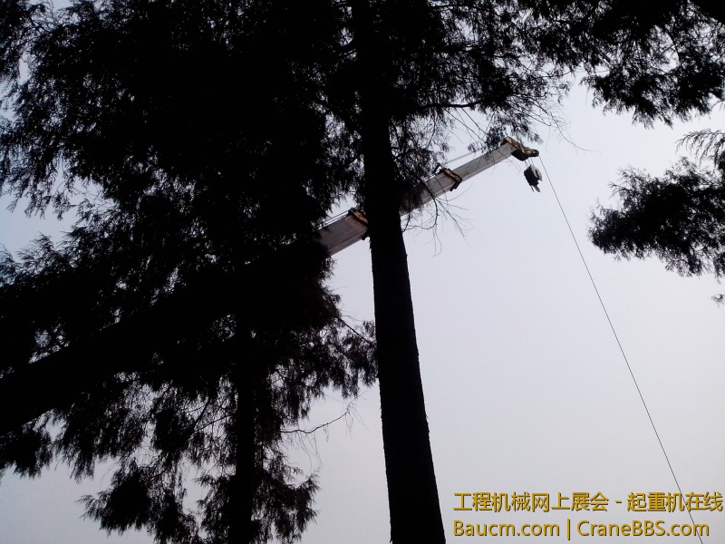 IMG_20130116_150928.jpg