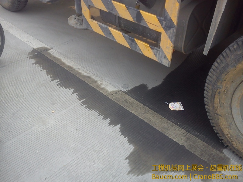IMG_20130116_123200.jpg