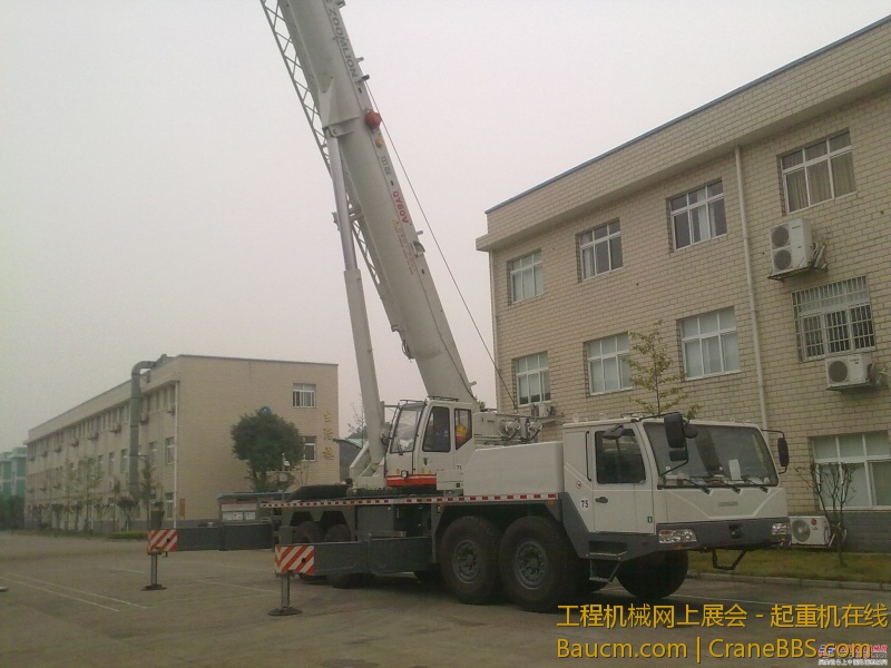125001d6z0wd10994485cd.jpg