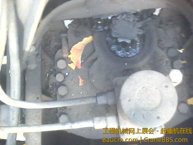 IMG0013A.jpg