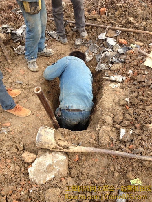 nEO_IMG_毛毛 276.jpg