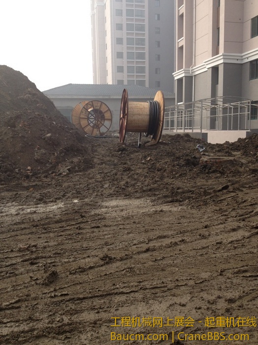 nEO_IMG_毛毛 294.jpg