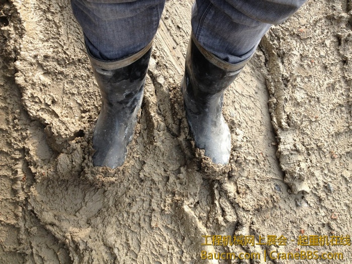 nEO_IMG_毛毛 297.jpg