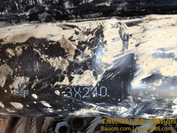 nEO_IMG_毛毛 302.jpg