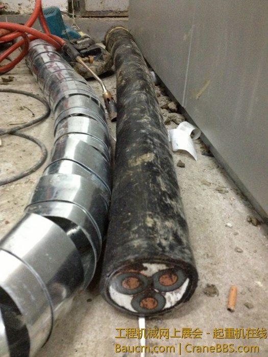 nEO_IMG_毛毛 304.jpg