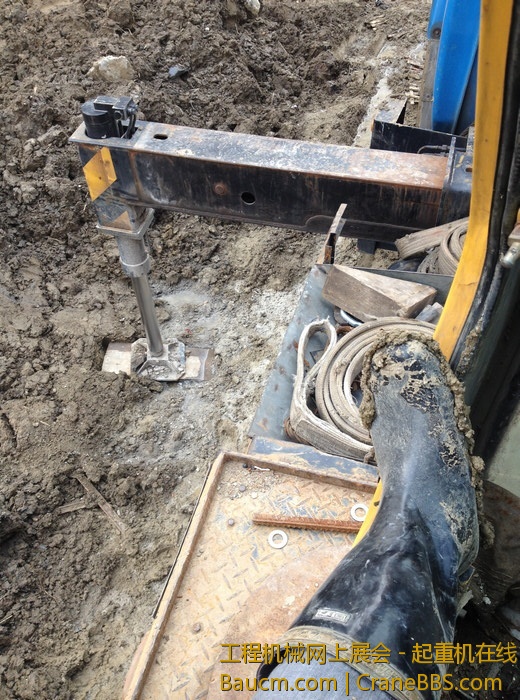 nEO_IMG_毛毛 308.jpg