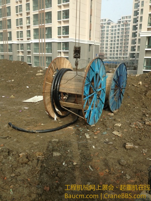 nEO_IMG_毛毛 298.jpg