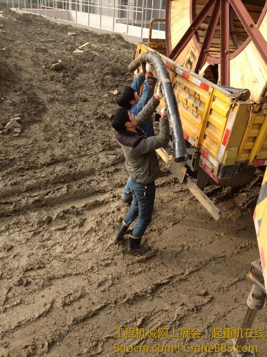 nEO_IMG_毛毛 300.jpg