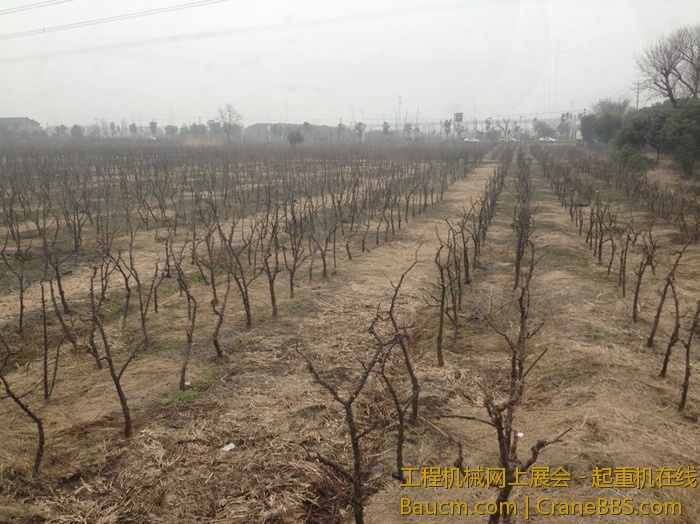 nEO_IMG_毛毛 340.jpg