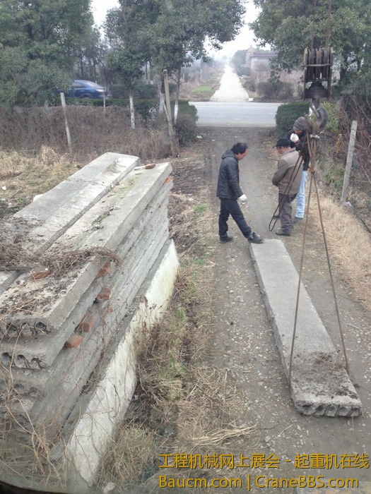 nEO_IMG_毛毛 339.jpg