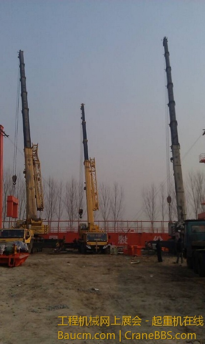 nEO_IMG_毛毛 321.jpg