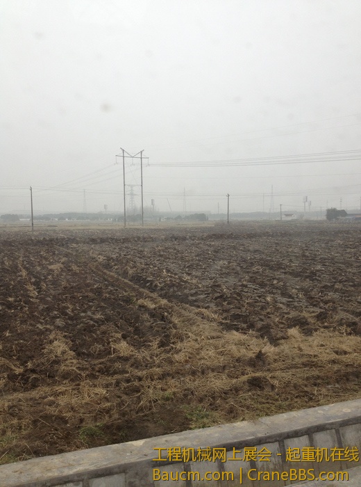 nEO_IMG_毛毛 347.jpg