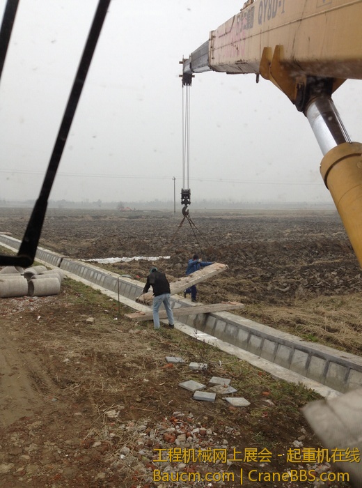 nEO_IMG_毛毛 350.jpg