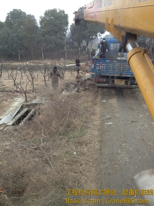 nEO_IMG_毛毛 351.jpg