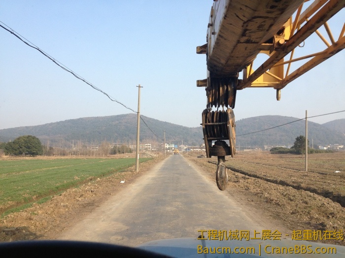 nEO_IMG_毛毛 411.jpg