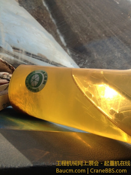 nEO_IMG_毛毛 413.jpg