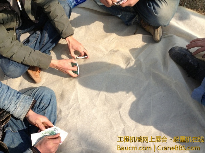 nEO_IMG_毛毛 430.jpg