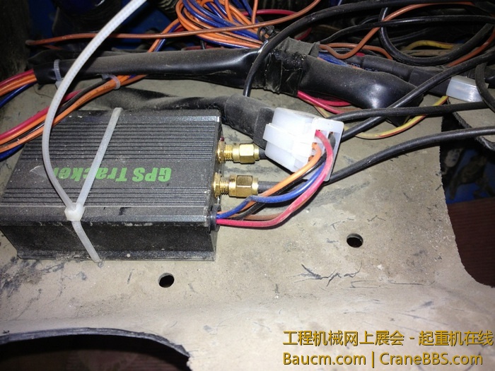 nEO_IMG_毛毛 420.jpg