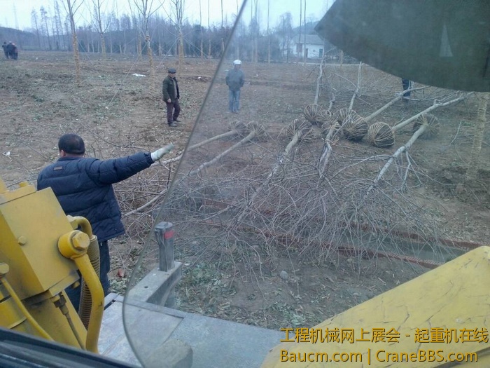 nEO_IMG_毛毛 516.jpg