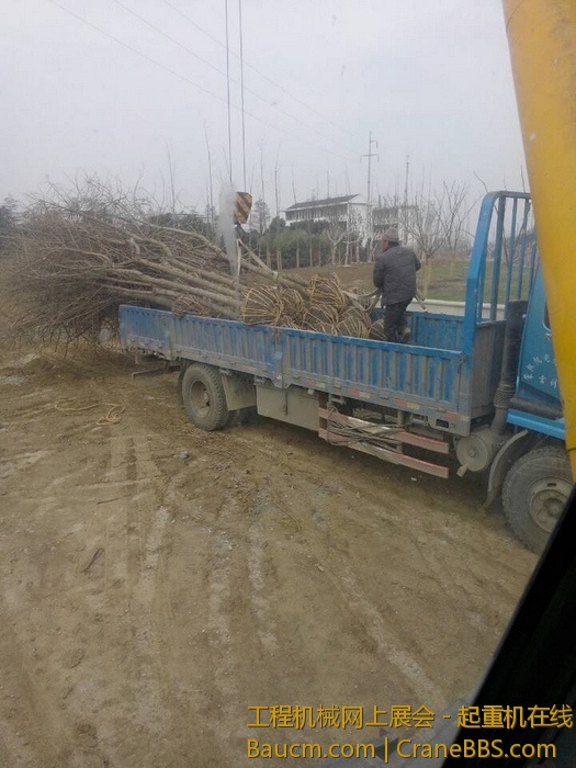 nEO_IMG_毛毛 517.jpg