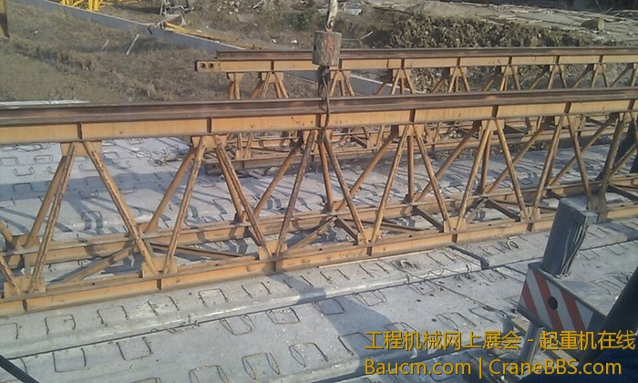 nEO_IMG_毛毛 490.jpg