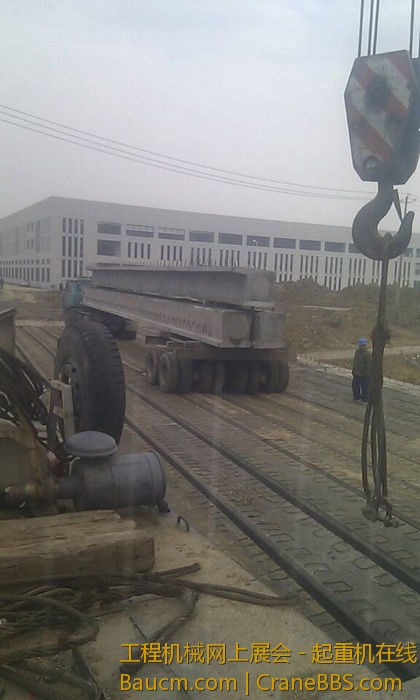 nEO_IMG_毛毛 514.jpg