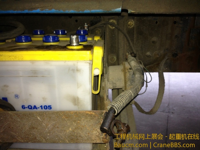 nEO_IMG_毛毛 491.jpg