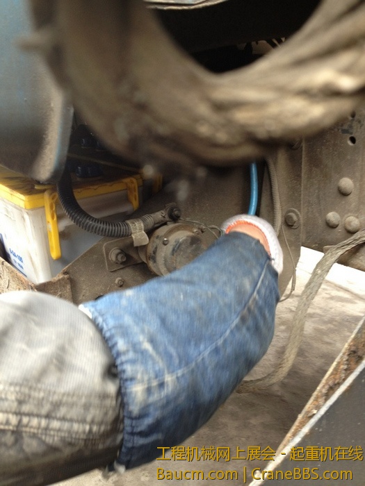 nEO_IMG_毛毛 519.jpg